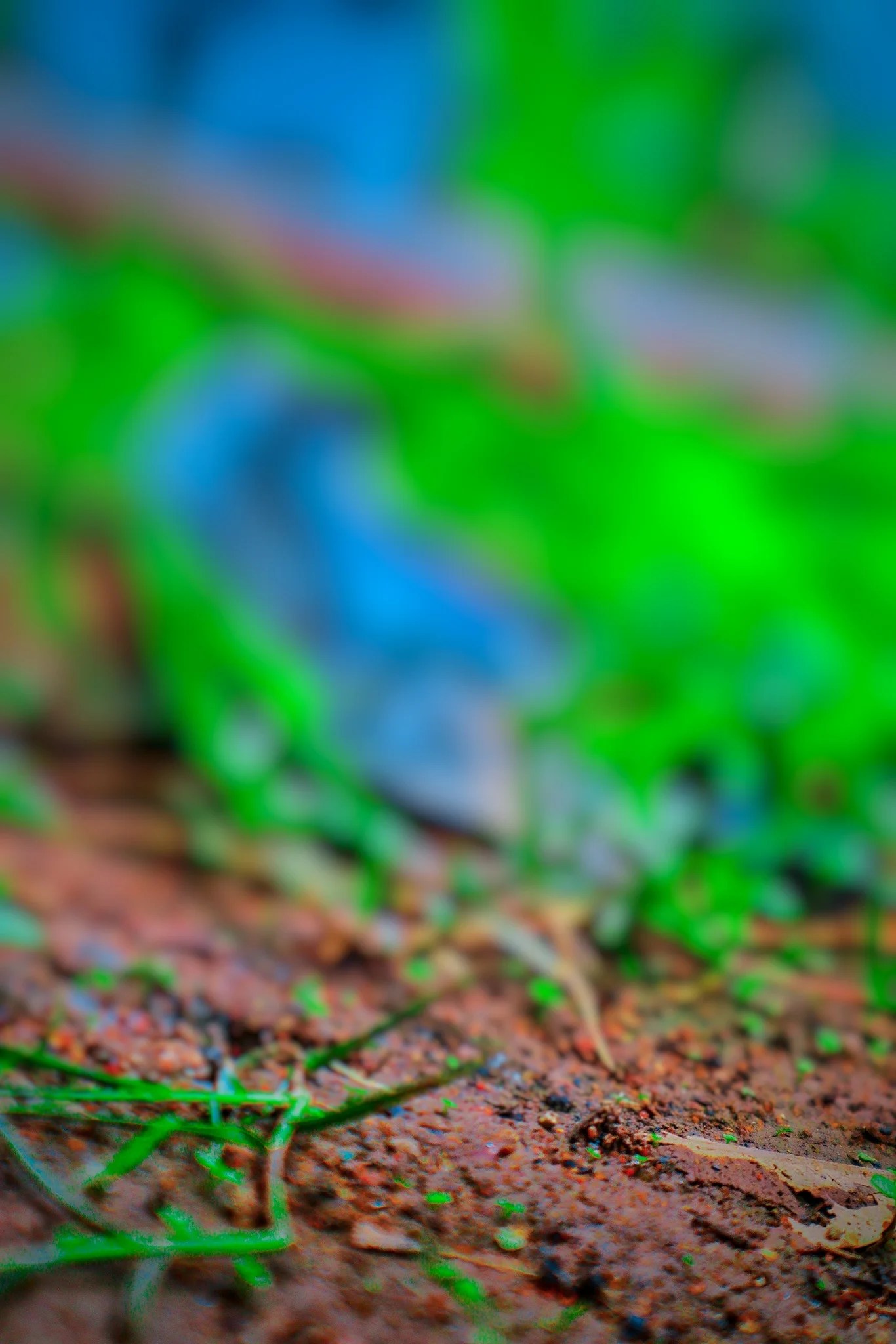 Hướng dẫn chỉnh sửa ảnh background green editing với màu xanh thẫm