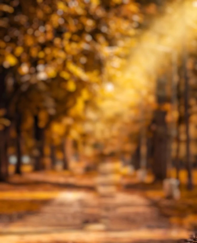 737 Best Background Of Photo Editing Pics My