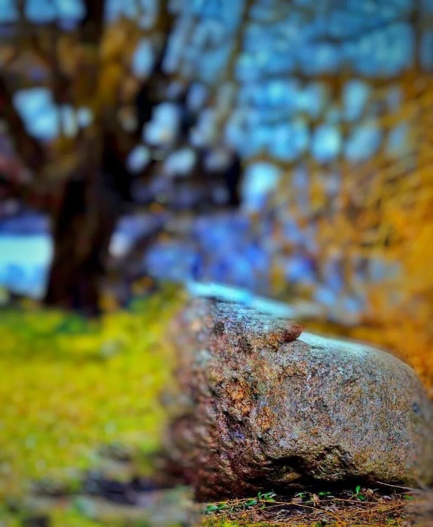 The Best Best Photo Background References