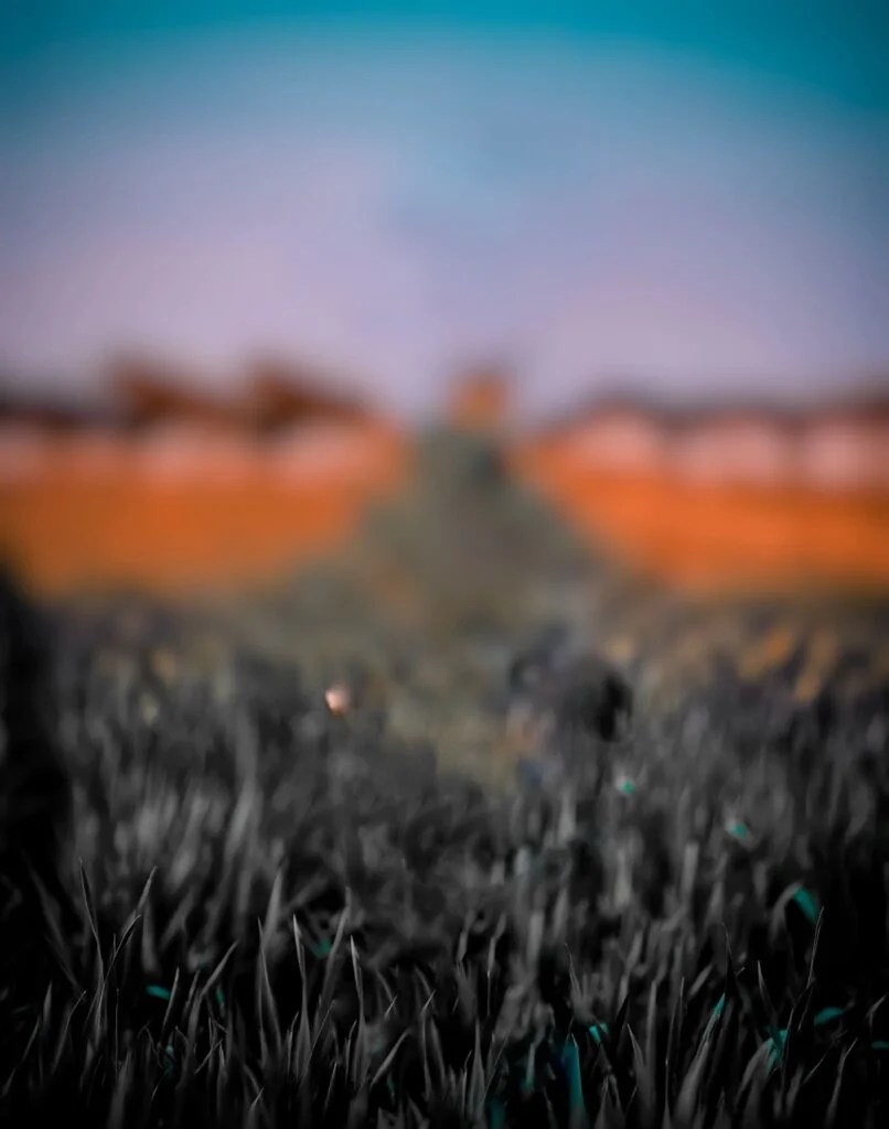 Astonishing Assortment of Over 999 Full 4K Background Images for Editing