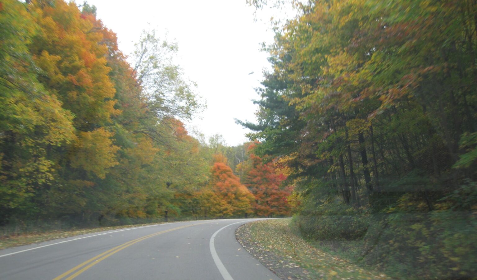 Ashland County Chapter of the Ohio Genealogical Society To encourage