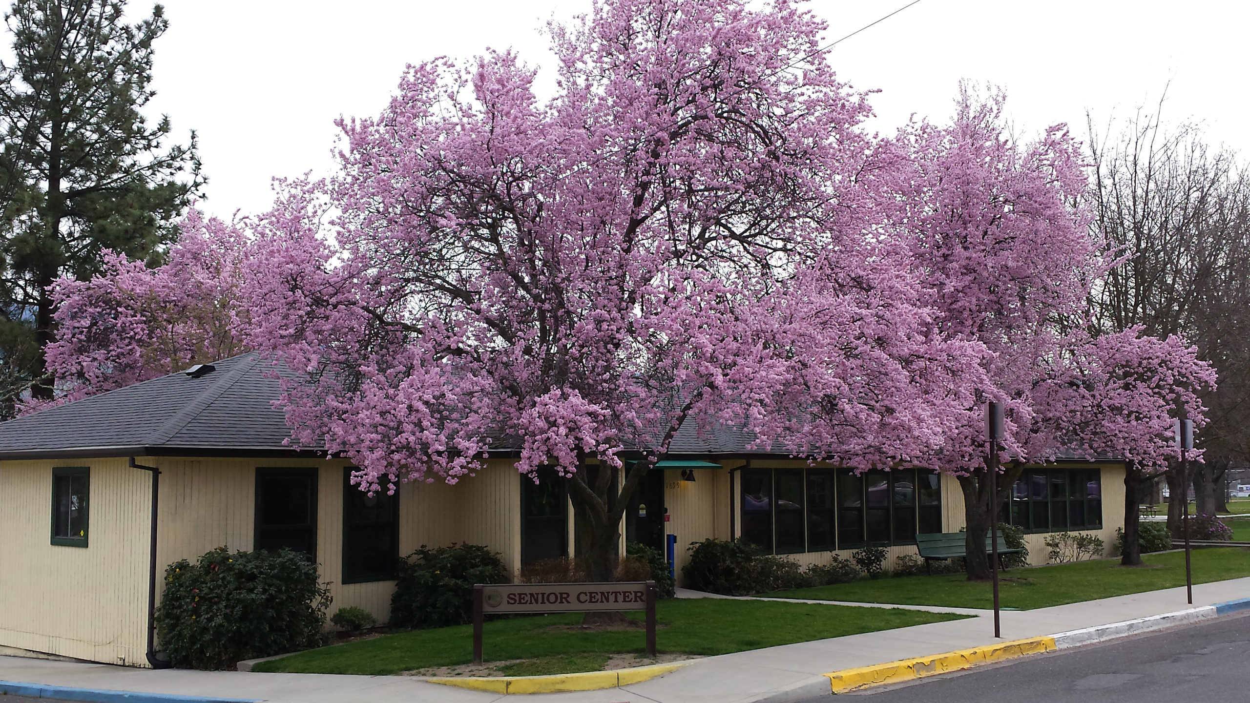 Gallery Ashland Parks & Rec Foundation