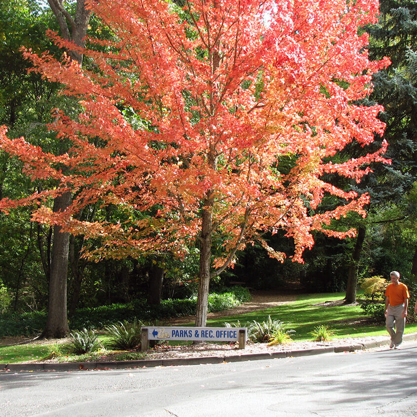 Home Ashland Parks & Rec Foundation