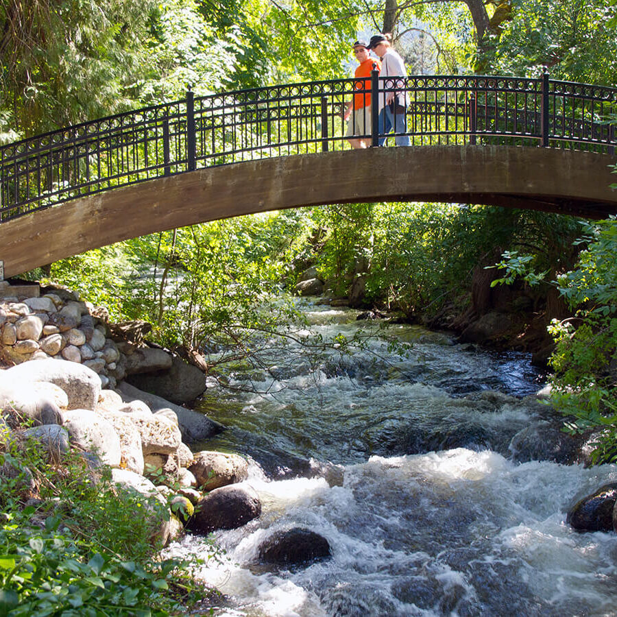 Home Ashland Parks & Rec Foundation