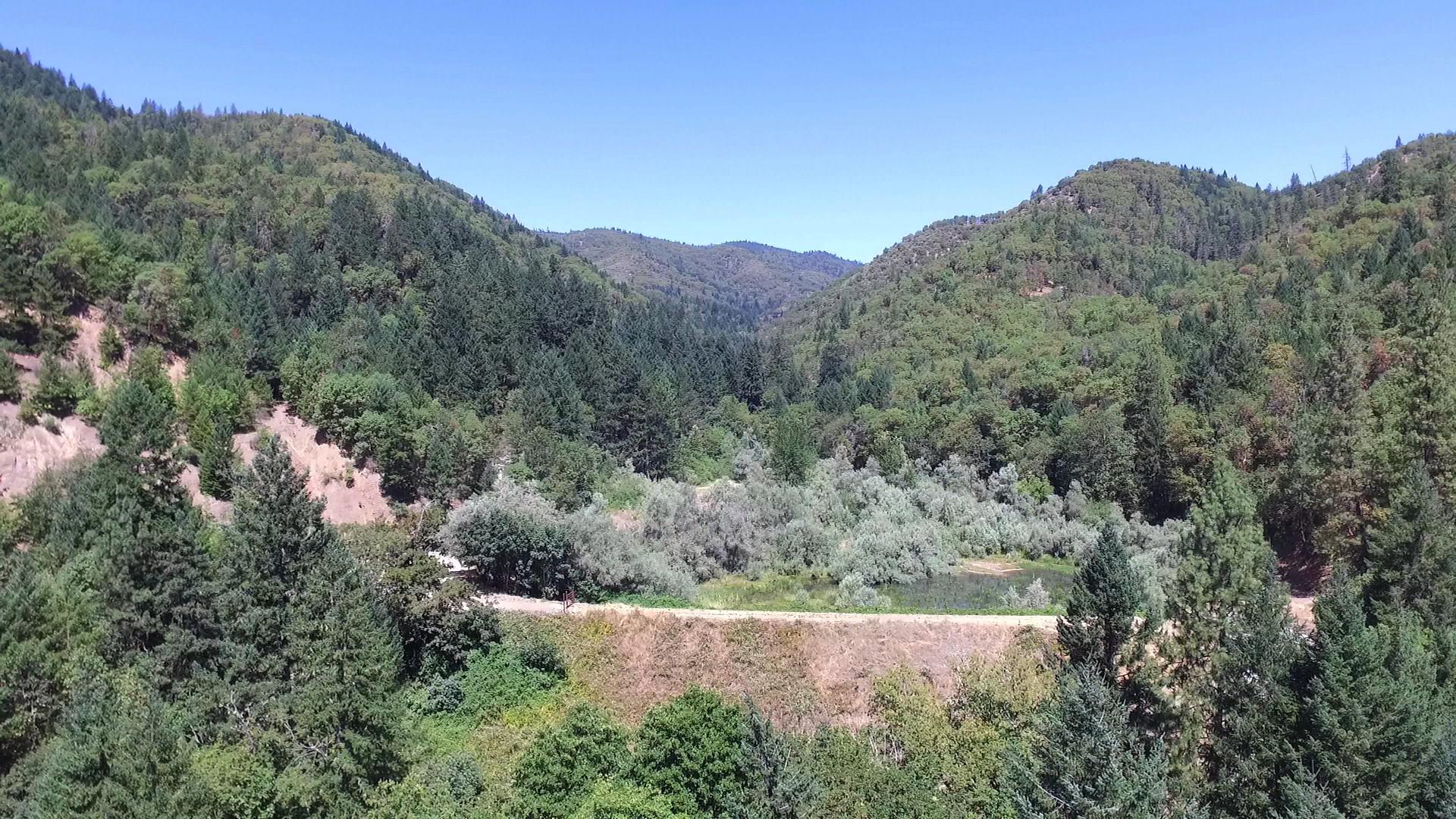 Ashland Trails Videos and Maps of Jacksonville Forest Park