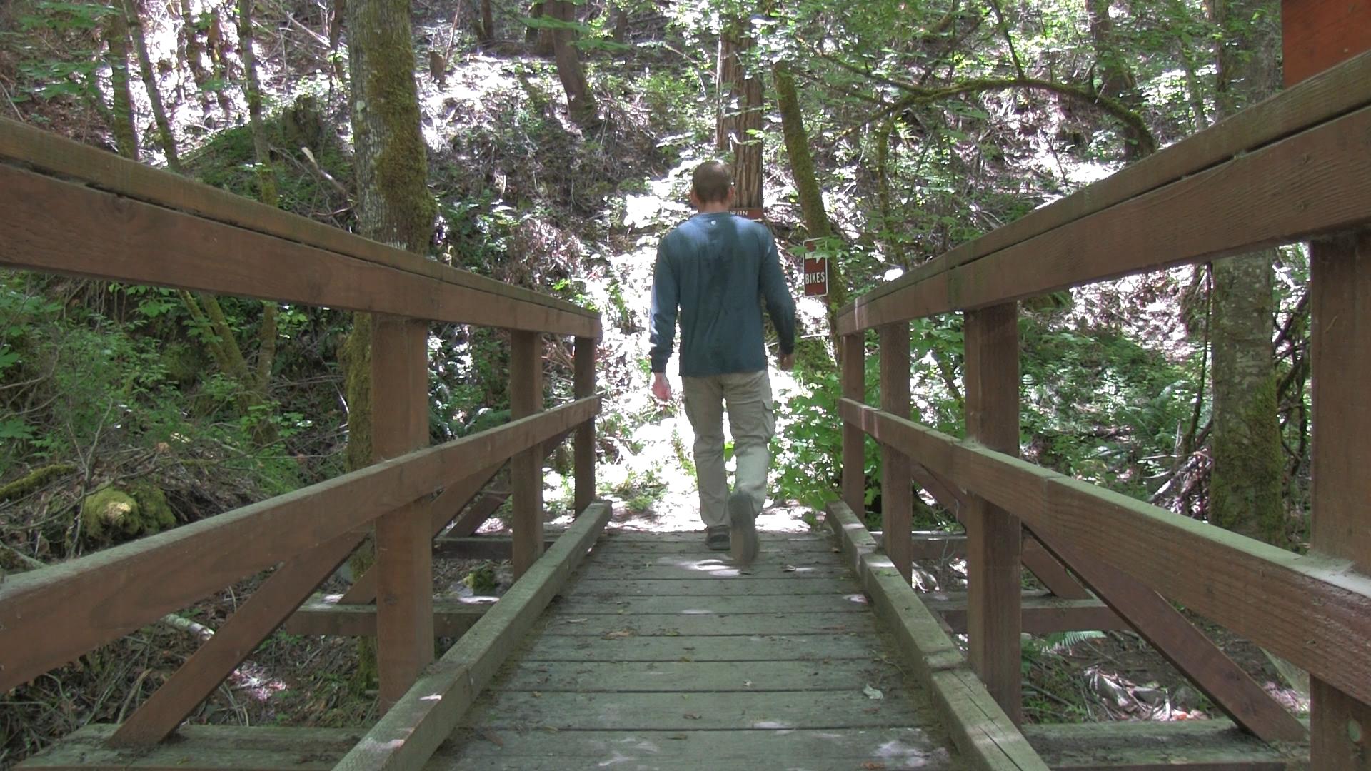 Ashland Trails Videos and Maps of Jacksonville Forest Park