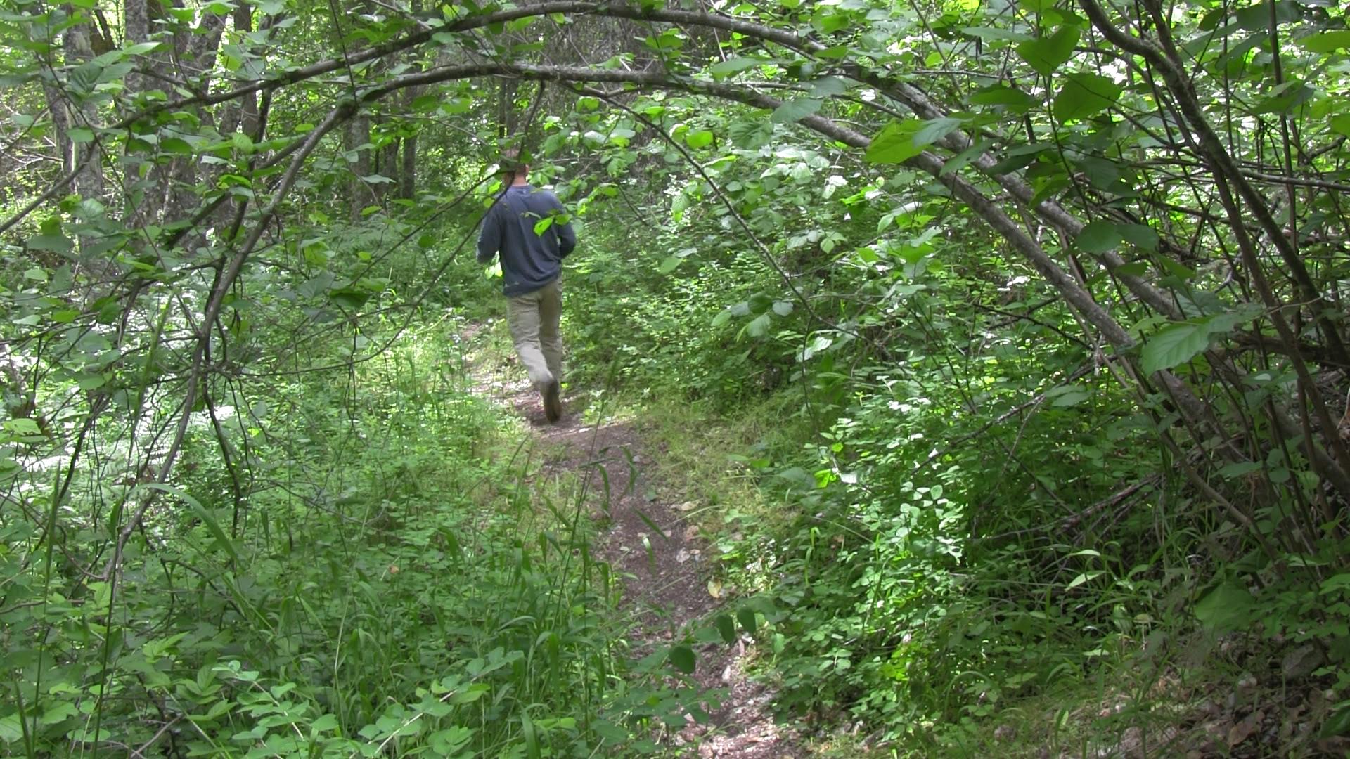 Ashland Trails Videos and Maps of Jacksonville Forest Park