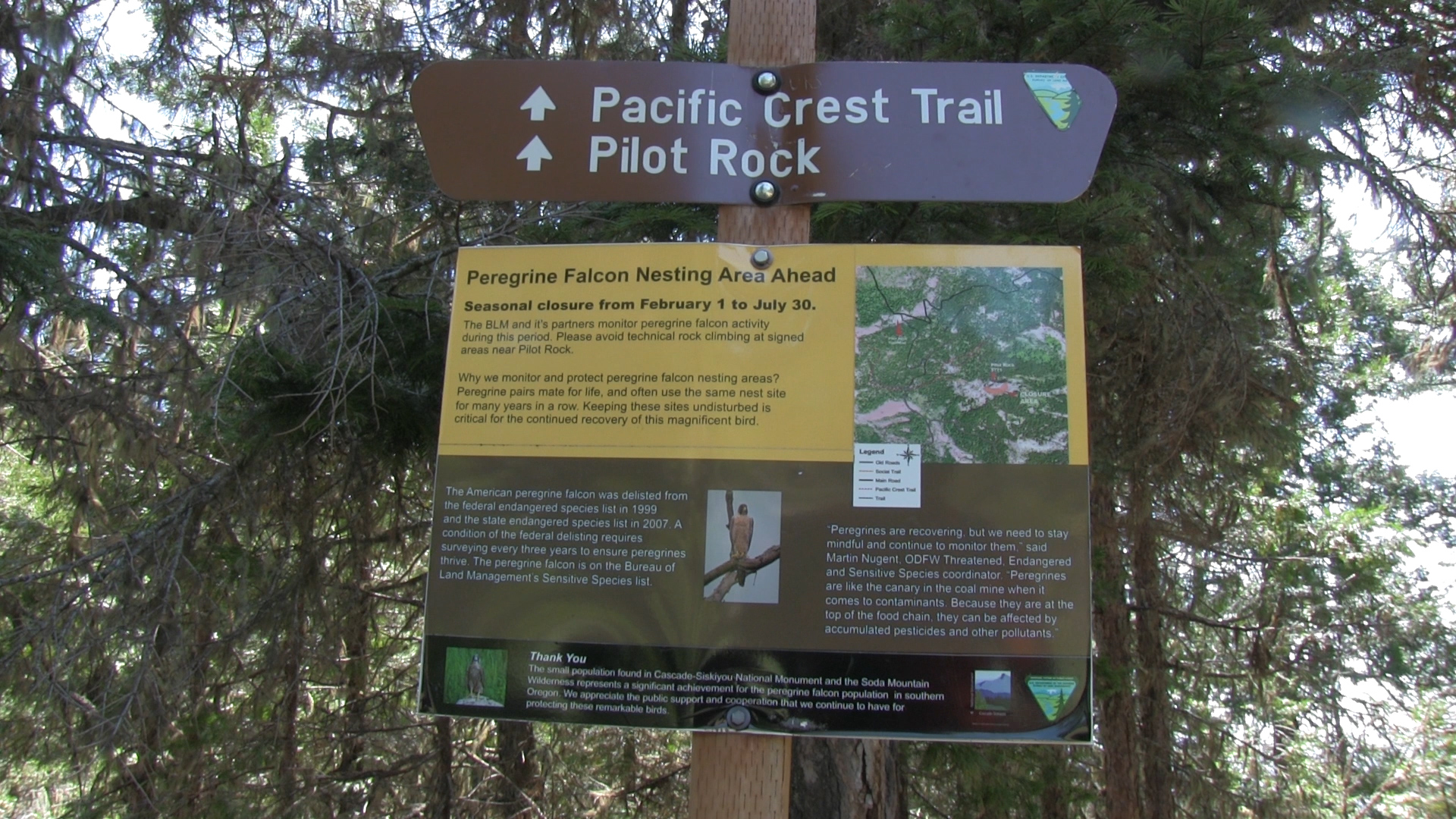 Ashland Trails Videos and Maps of Pilot Rock 2020
