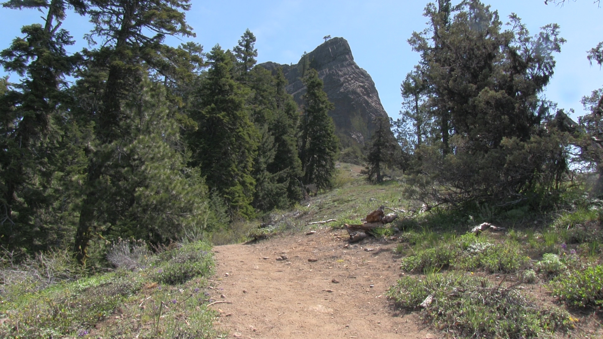 Ashland Trails Videos and Maps of Pilot Rock 2020