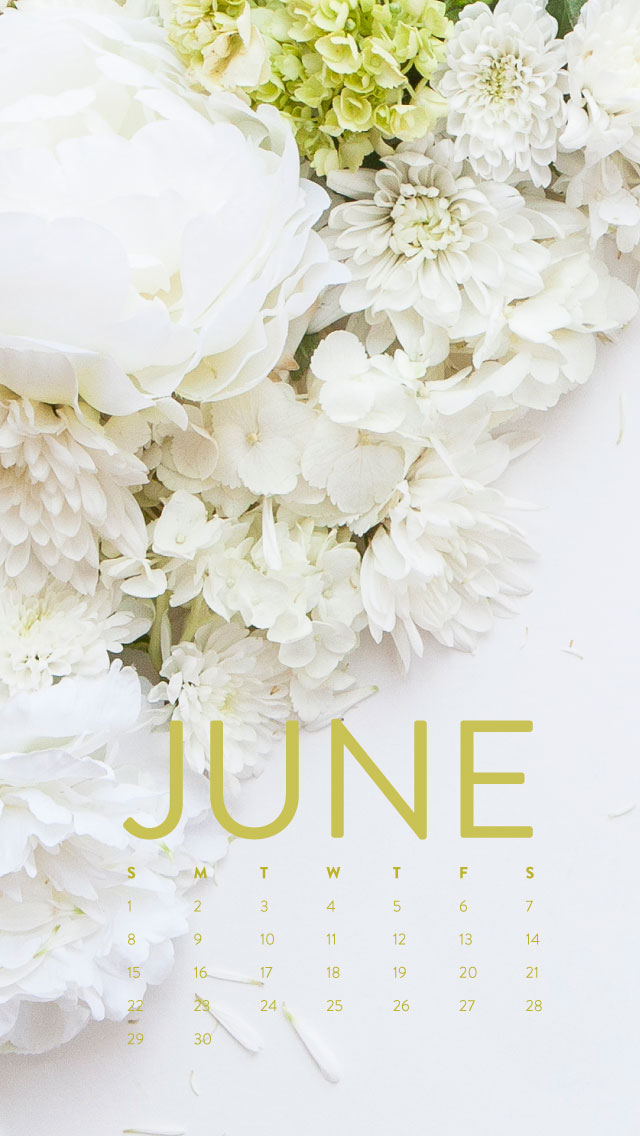 Happy June! Desktop Calendar + iPhone Wallpaper Ashlee Proffitt