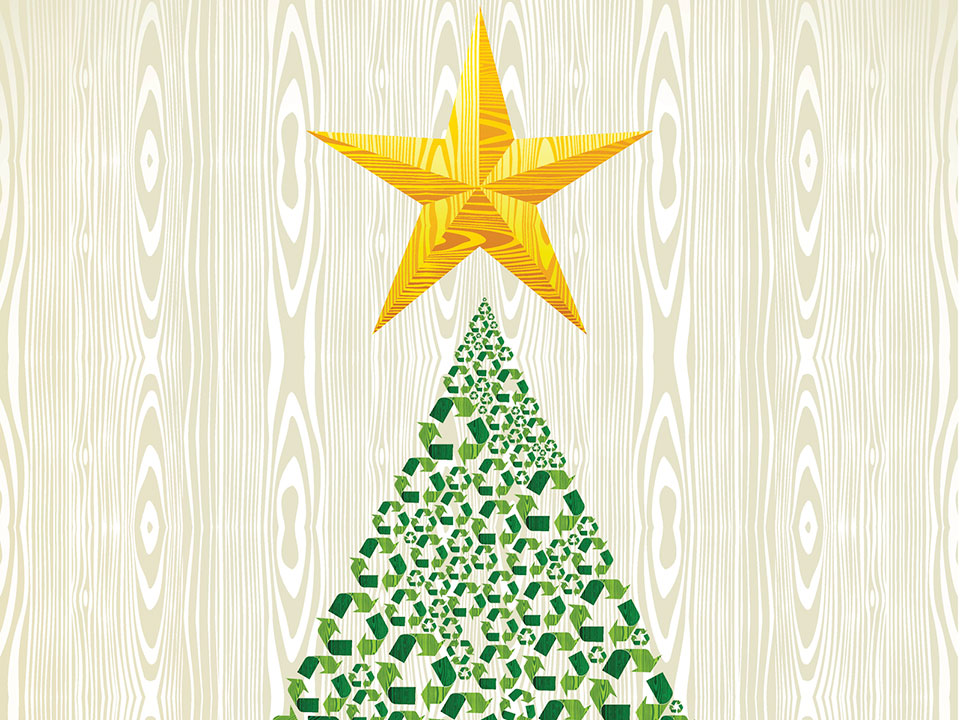 Recycle your Christmas Tree Luxury Miami Real Estate Ashley Cusack