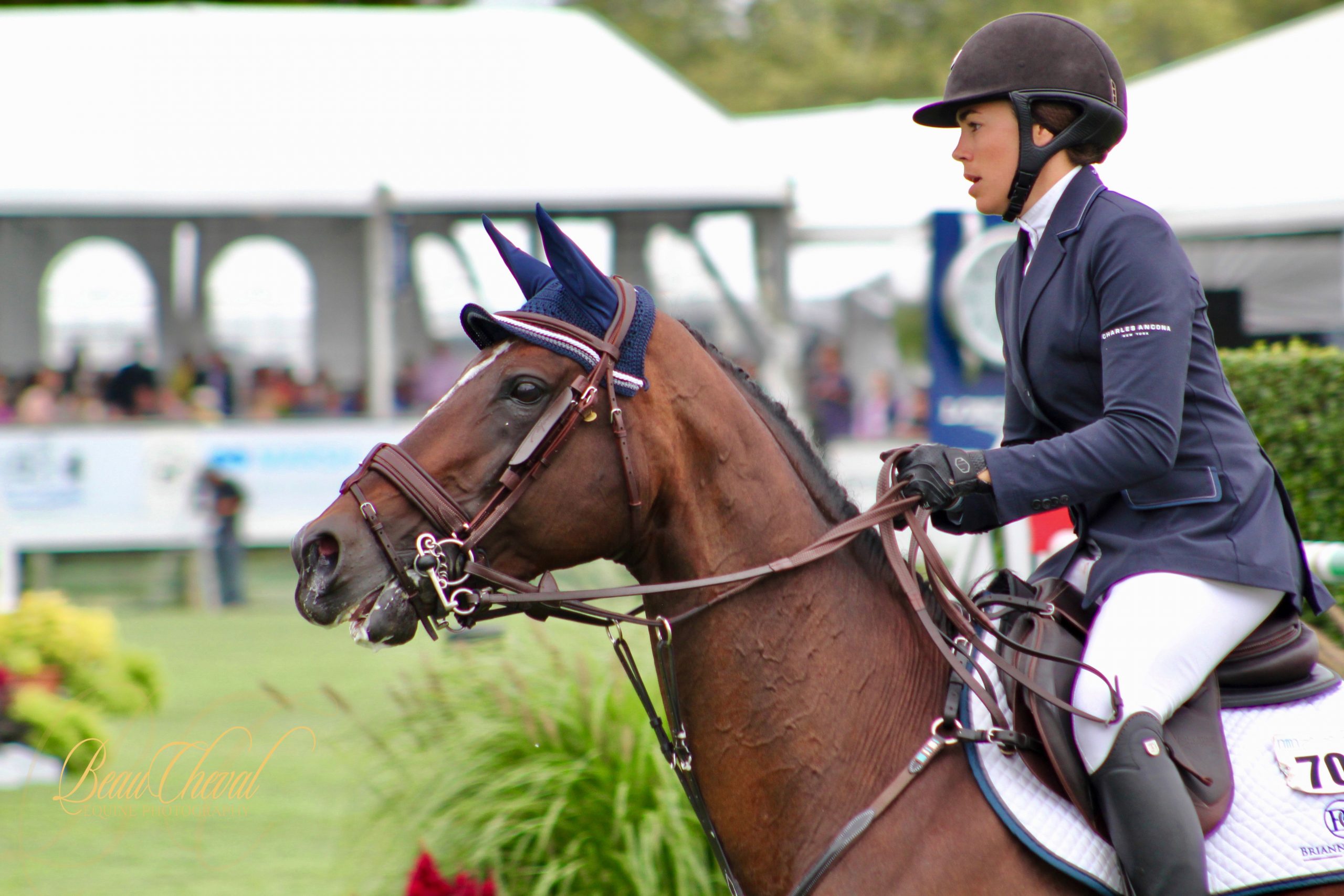 Horse Shows Ashley Fairfield Photography