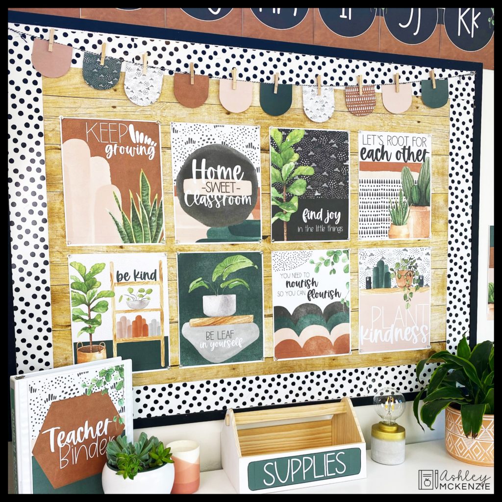 Unique Plant Classroom Decor Ideas to Create a Fresh and Uplifting Vibe