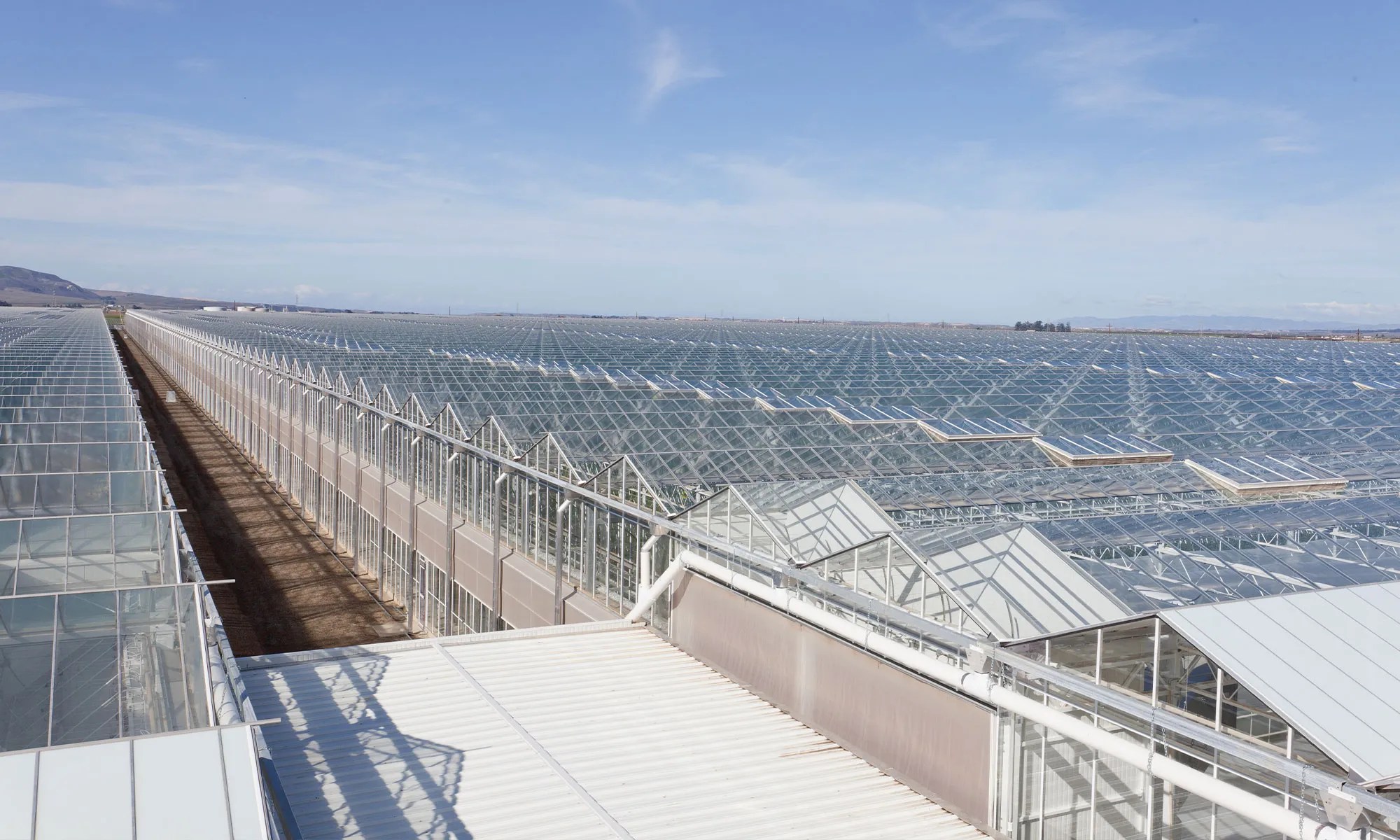 Windset Farms Ashley & Vance Engineering