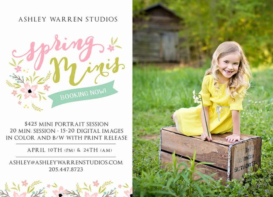 Spring Mini sessions Birmingham Alabama Photographer » Ashley Warren