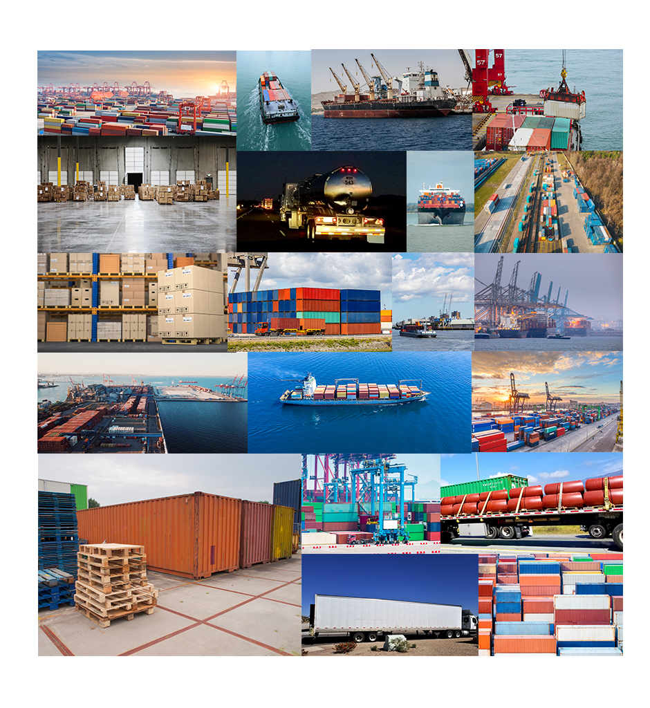 About Us Ashoka Xpress Worldwide