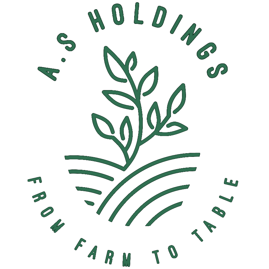 A.S Holdings AS Holdings