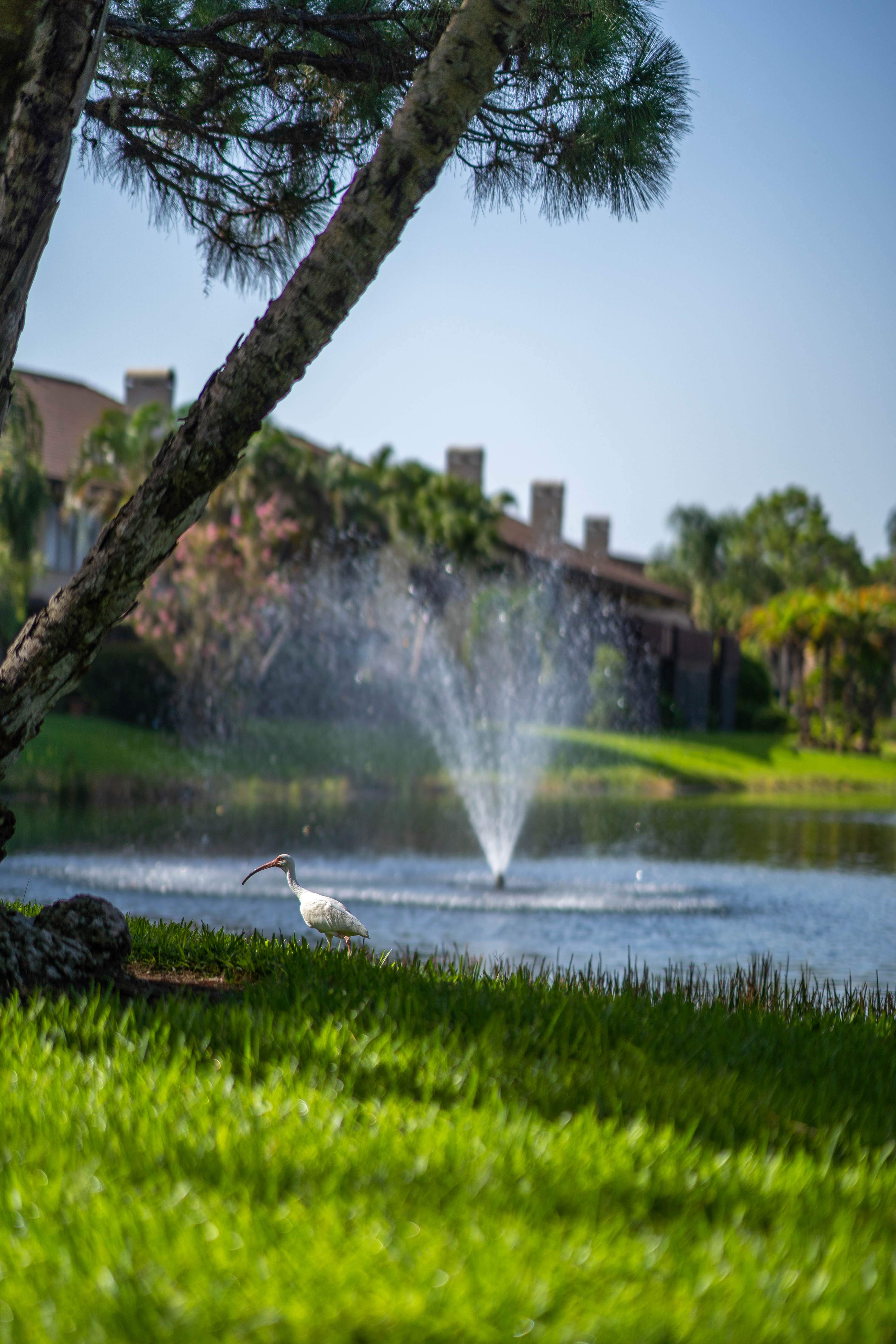 Photo Gallery Ashton Lakes Community