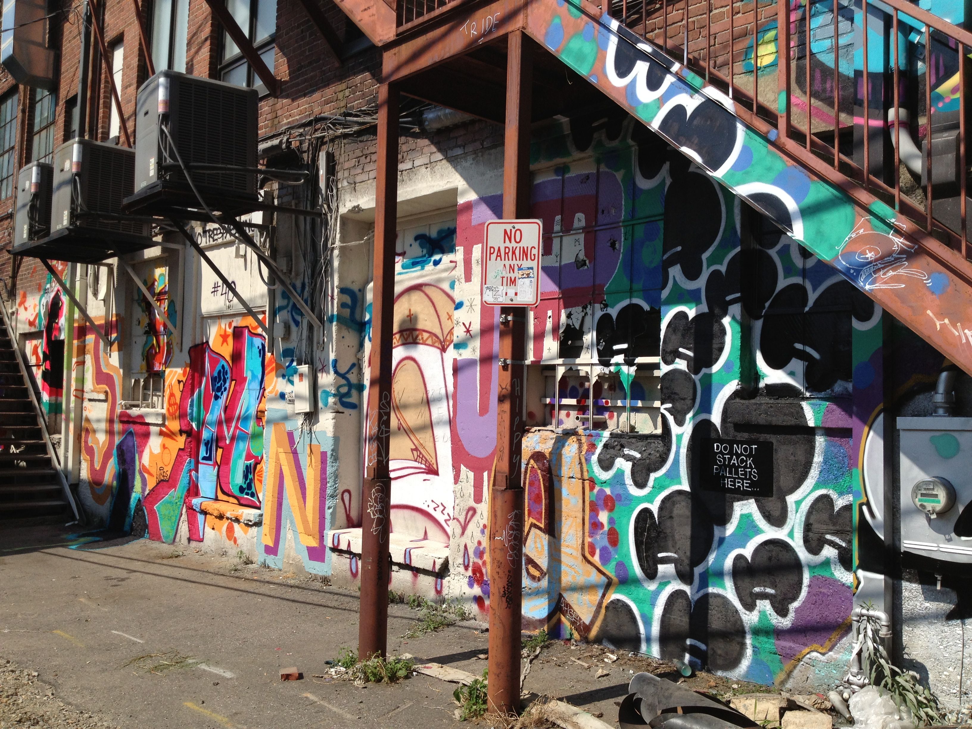 PHOTOS New Wilson Alley mural in downtown Asheville Ashvegas