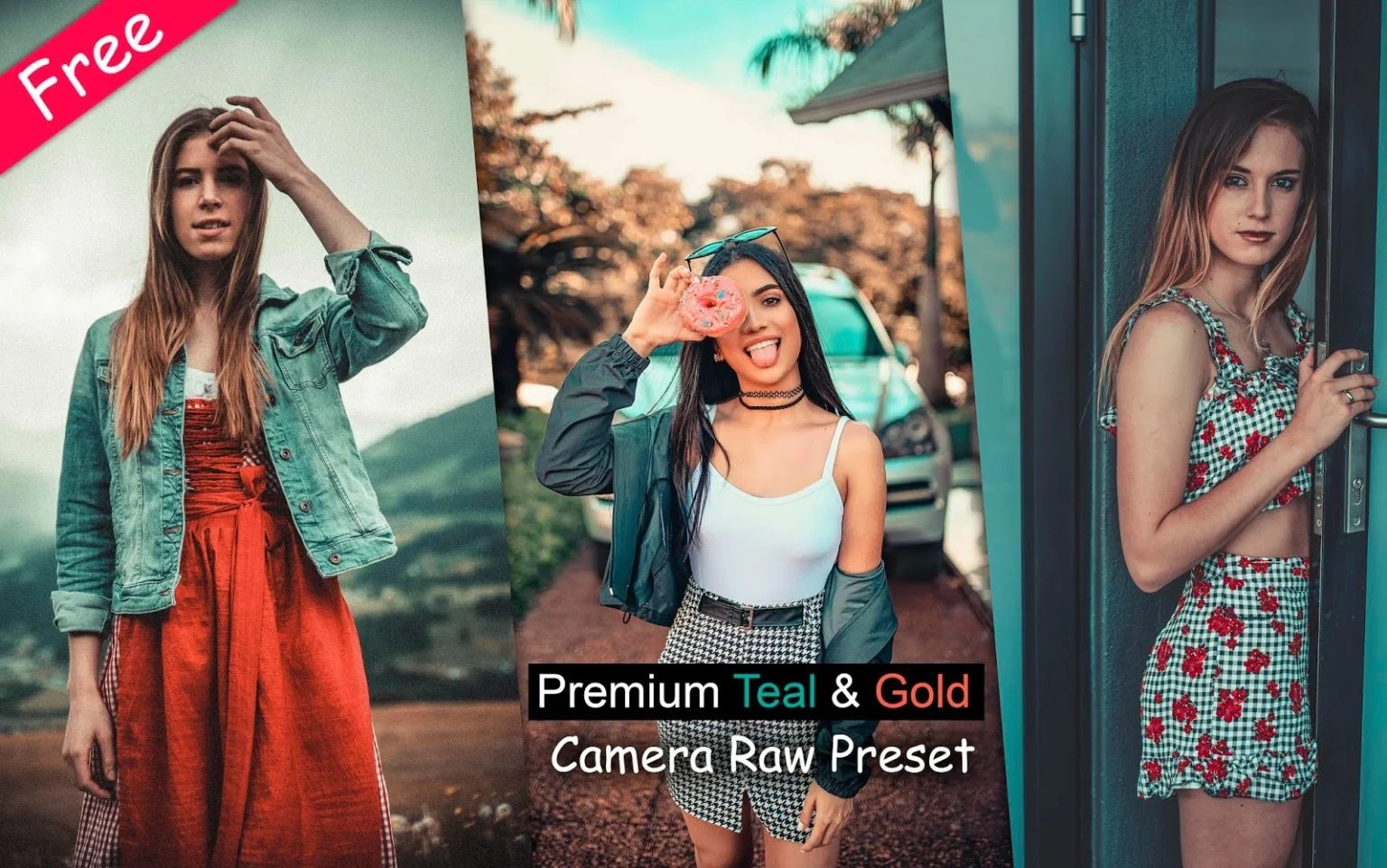 Download Premium Teal & Gold Camera Raw Preset for Free How to Edit