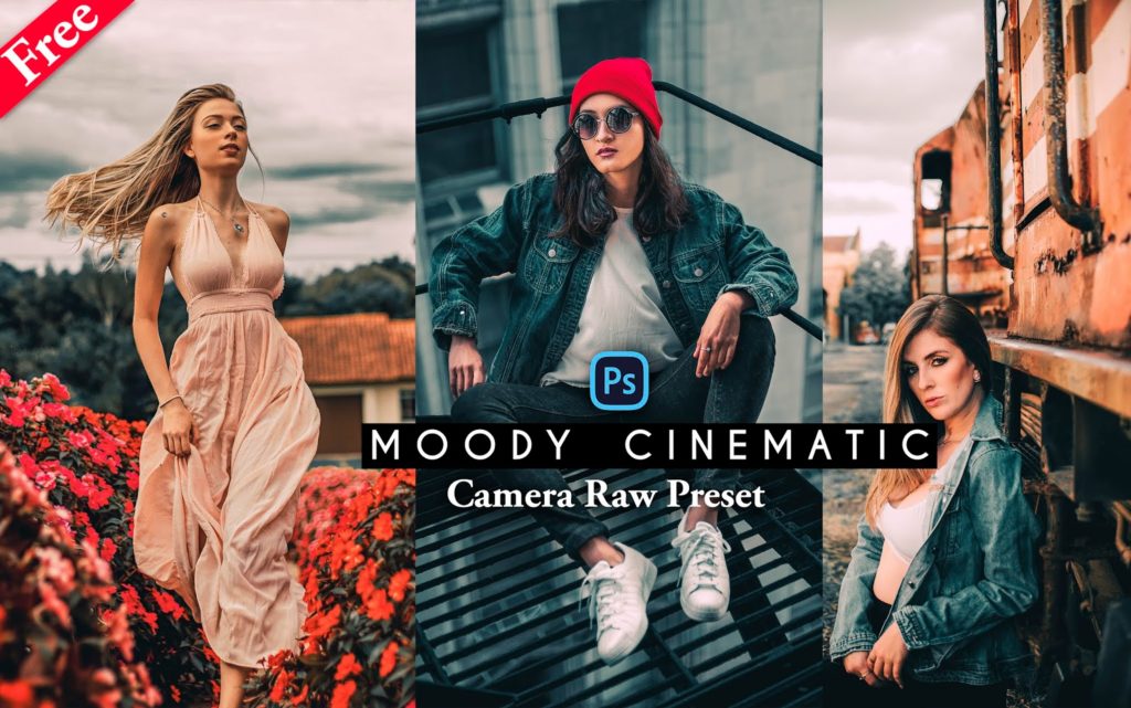 Download New Moody Cinematic Camera Raw Preset for Free AshVir Creations