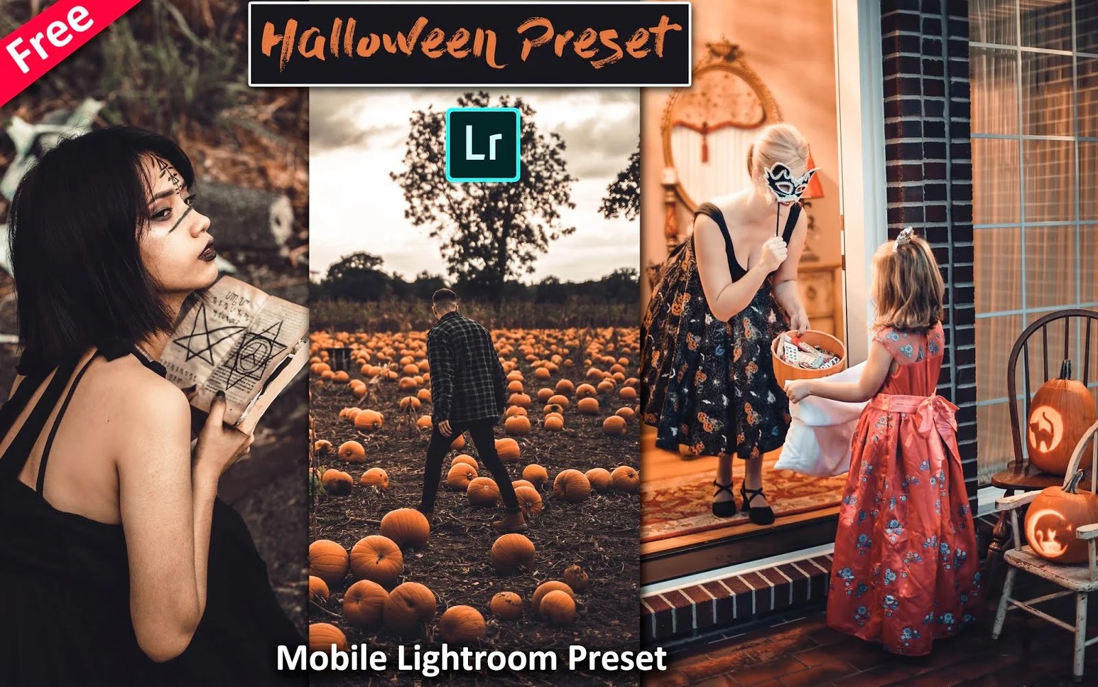 Download Halloween Mobile Lightroom Preset for Free How to Edit Your