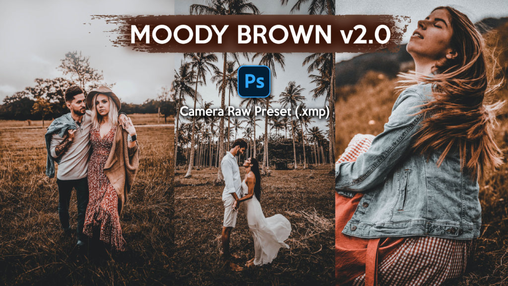 Moody Brown Camera Raw XMP Preset of 2021 for Free Moody Brown Camera
