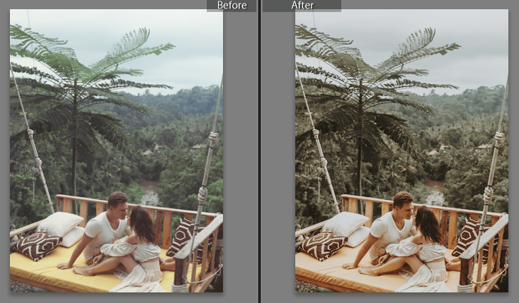 Download Vintage Warm Camera Raw XMP Preset of 2020 for Free Vintage