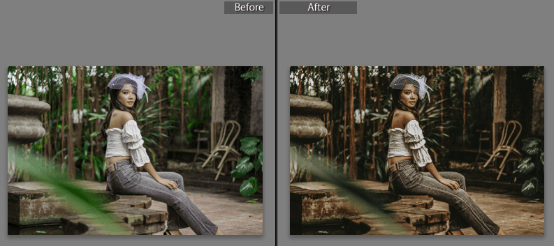 Download Vintage Warm Camera Raw XMP Preset of 2020 for Free Vintage