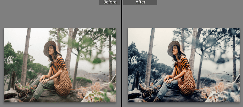 Download Peter Mckinnon Inspired Lightroom Presets of 2021 for Free