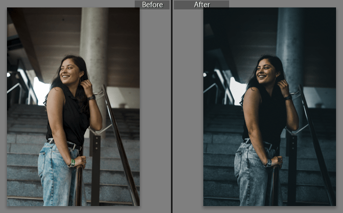Alen Palander NEW YORK Lightroom Mobile Presets DNG of 2021 for Free