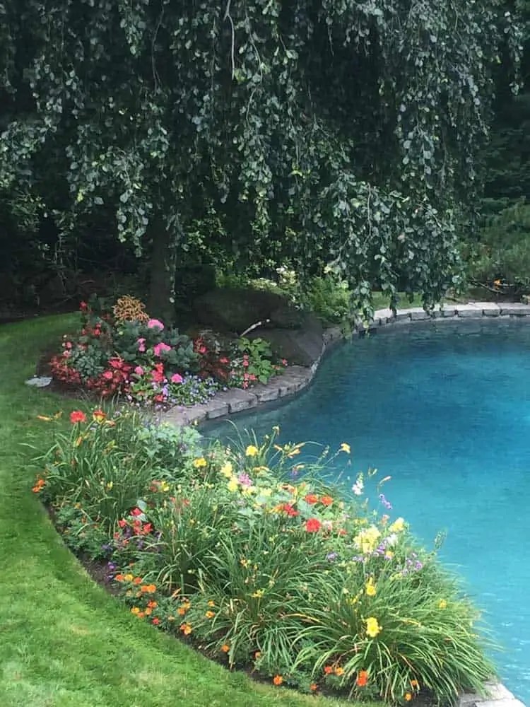 Container Gardens Gallery Ashwood Property Care