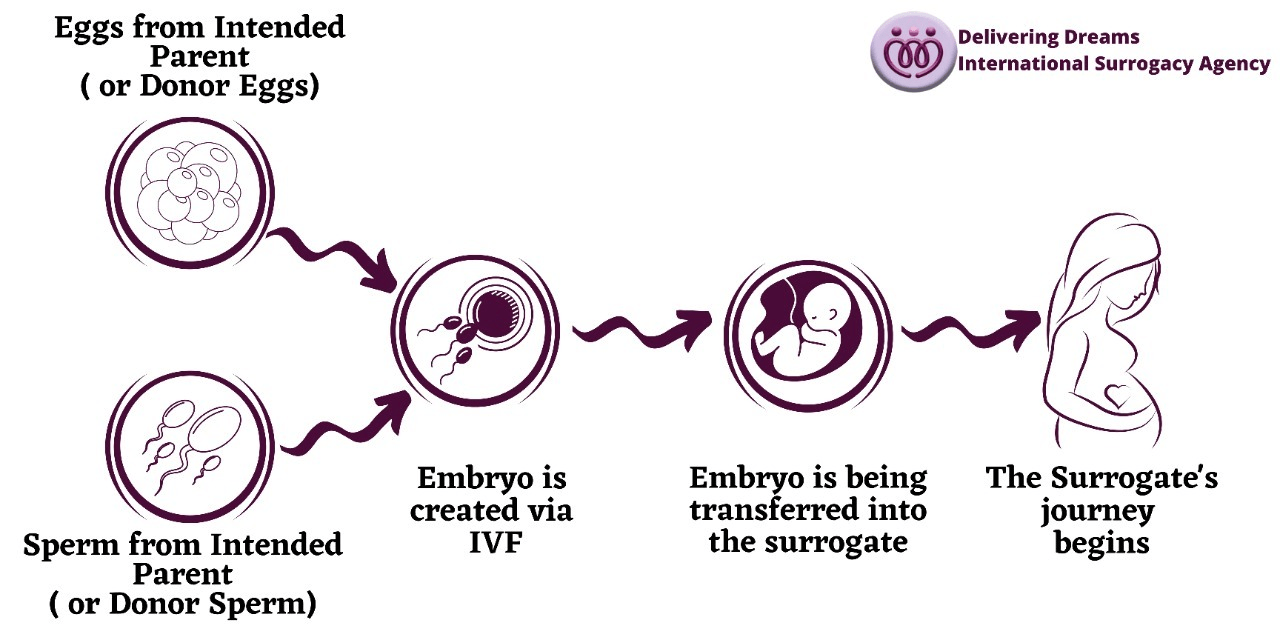 What is the Difference in Gestational and Traditional Surrogacy?