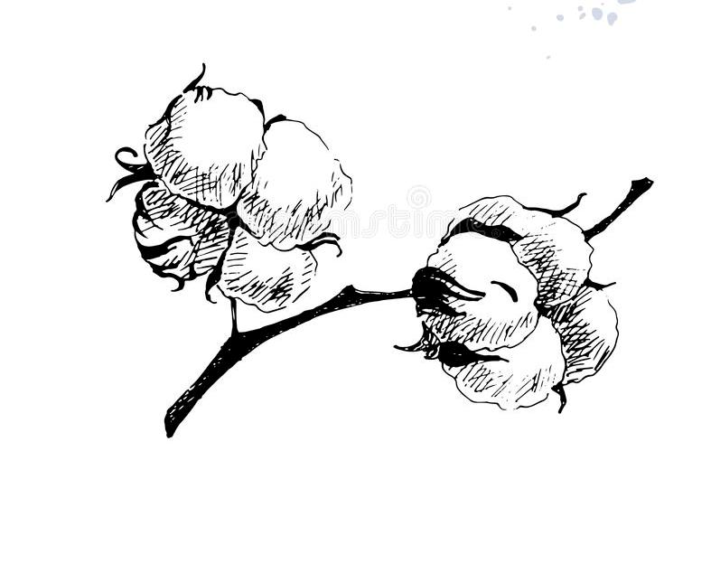 Cotton Asia InCH Encyclopedia of Intangible Cultural Heritage