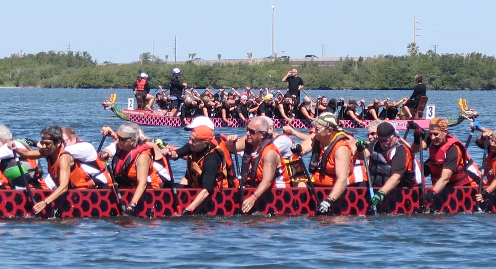 dragon boat festival 2023 sarasota fl Dragon Boat Race to Bring the Sarasota Community Together, One Beat at a Time Asia Trend