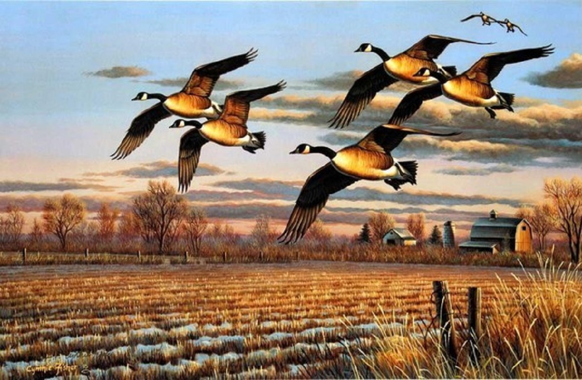 Ne pas prendre les citoyens suisses pour des canards sauvages ! auns