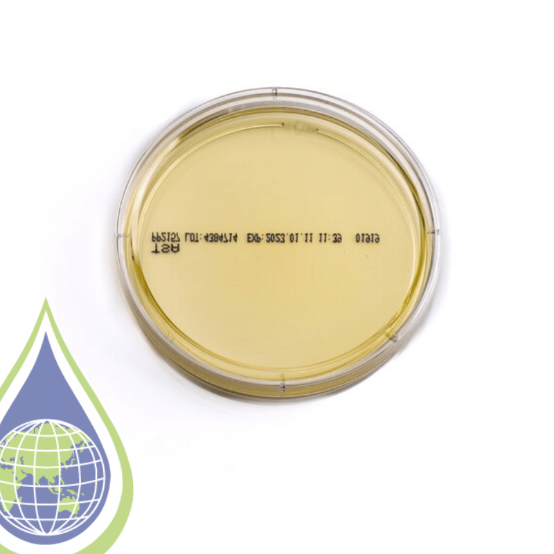 TSA Agar Plates ASIS Scientific