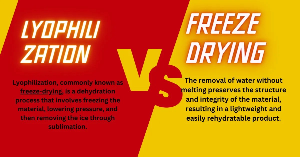 Lyophilization vs. FreezeDrying A Quick Comparison