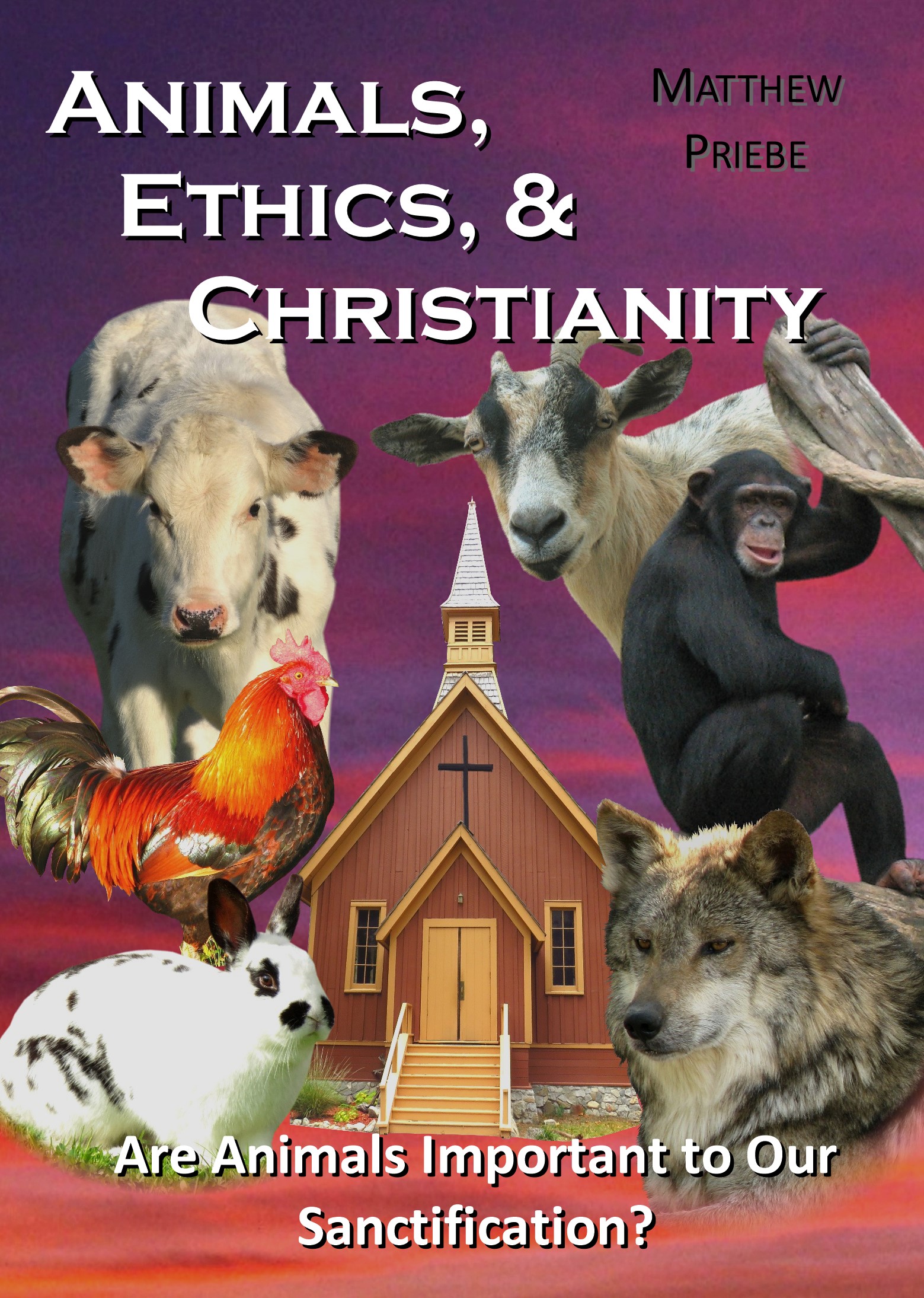 Animals, Ethics, & Christianity Video Ask The Animals