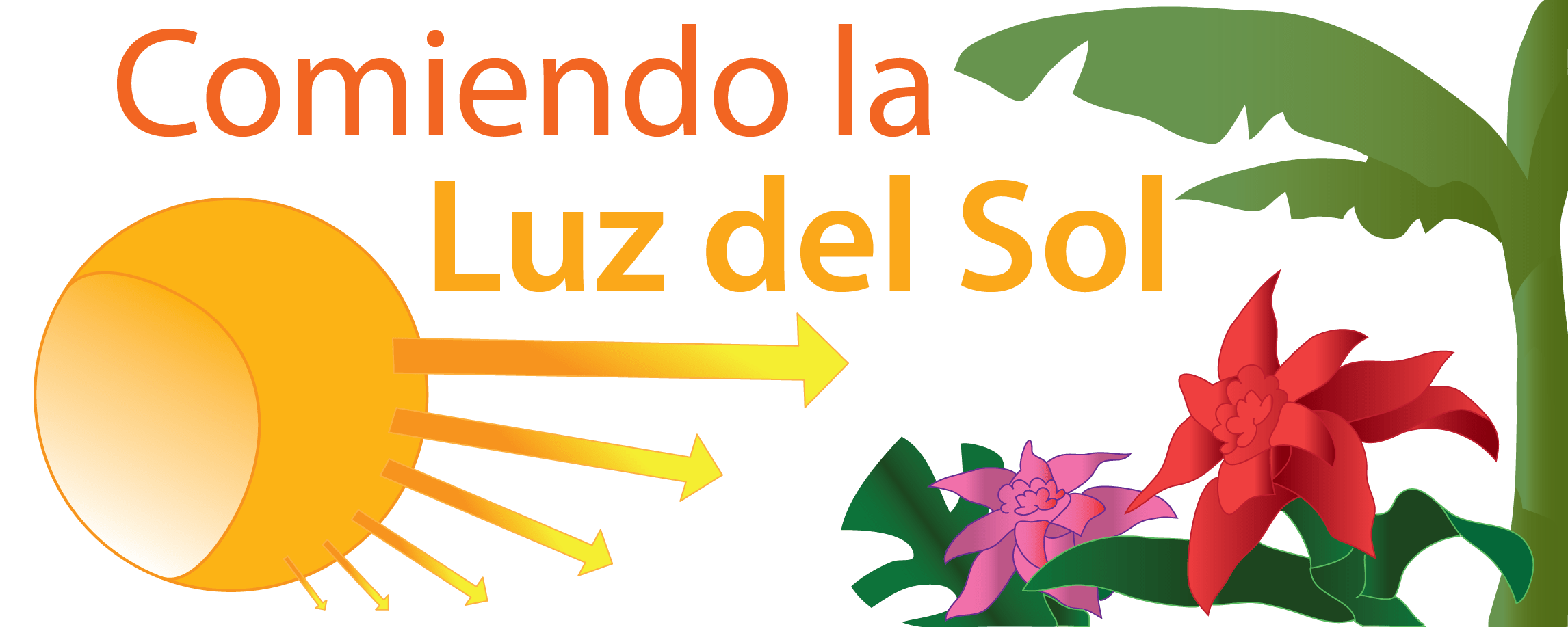 Comiendo la luz del sol Ask A Biologist