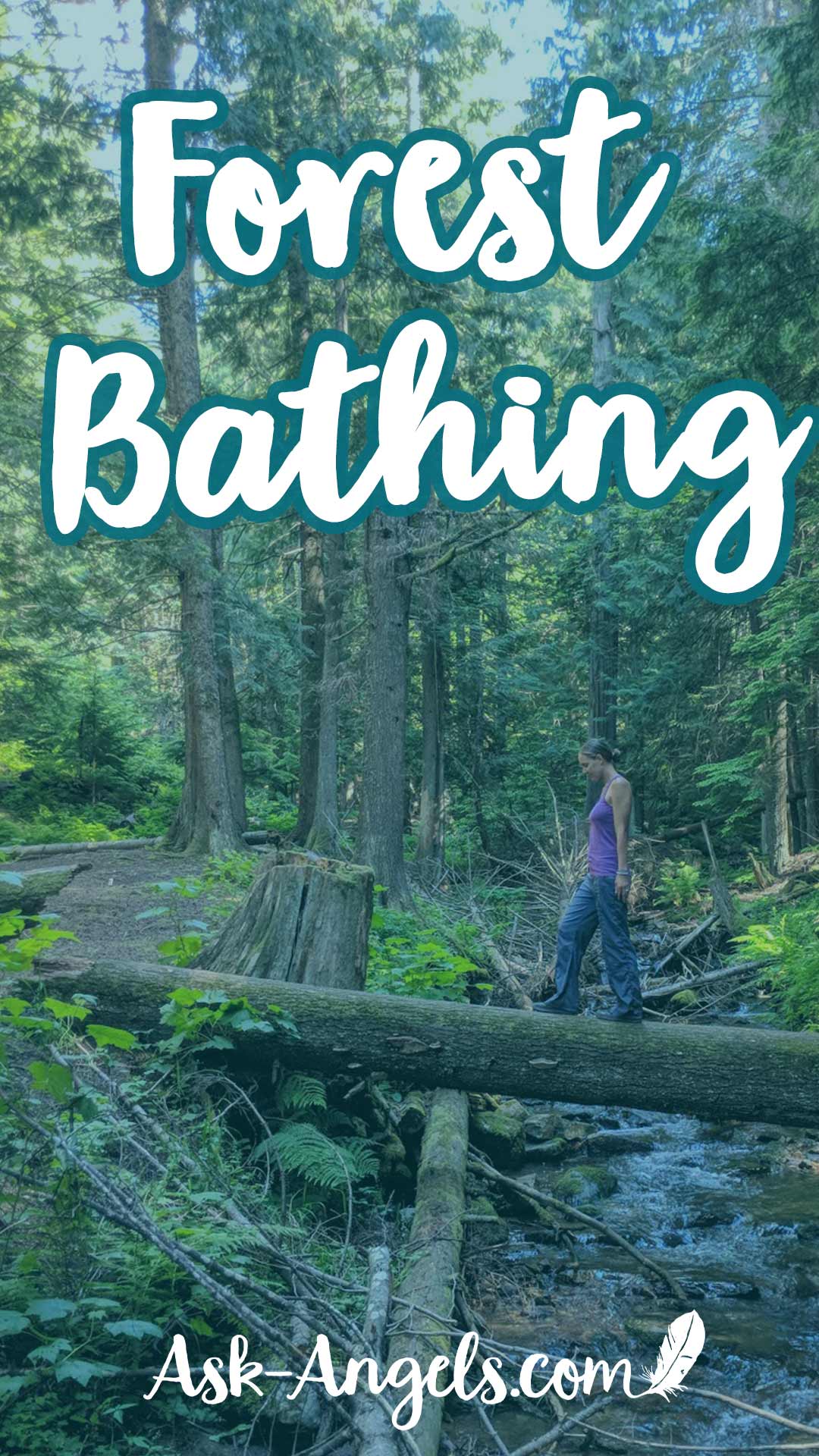 Forest Bathing A Powerful Energetic Reset!