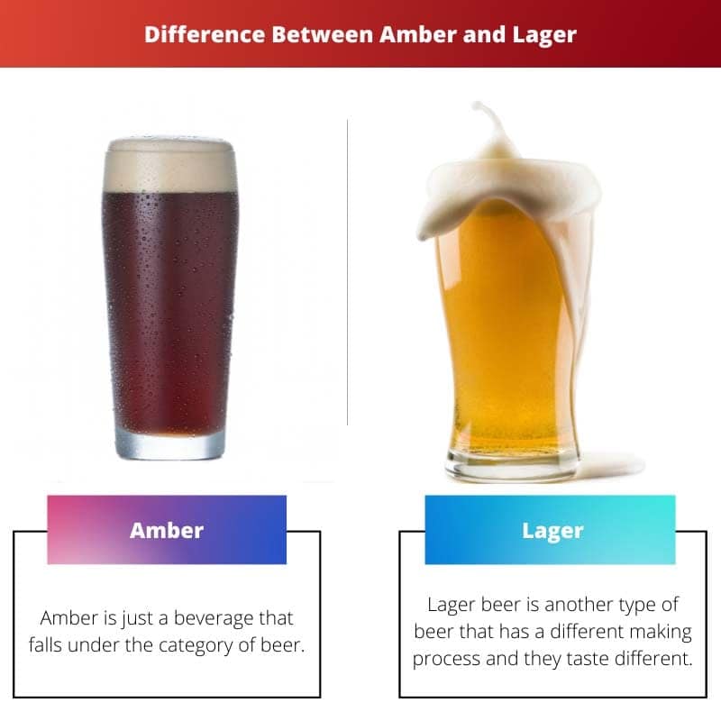 Amber vs Lager Difference and Comparison