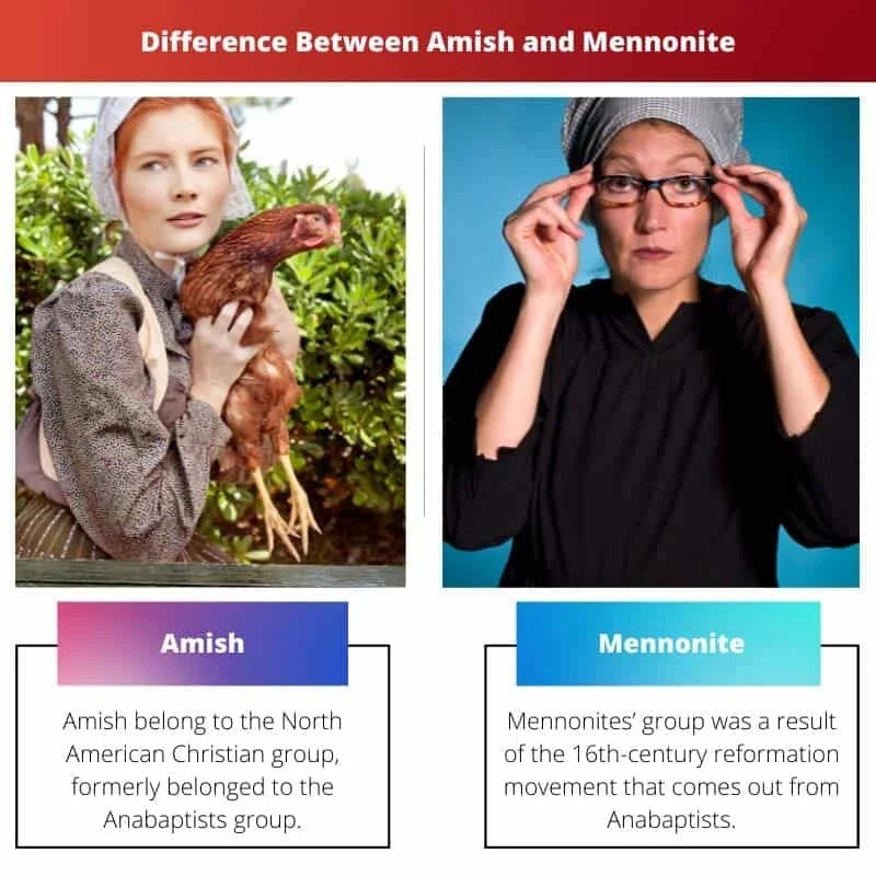 Amish vs Mennonite Difference and Comparison