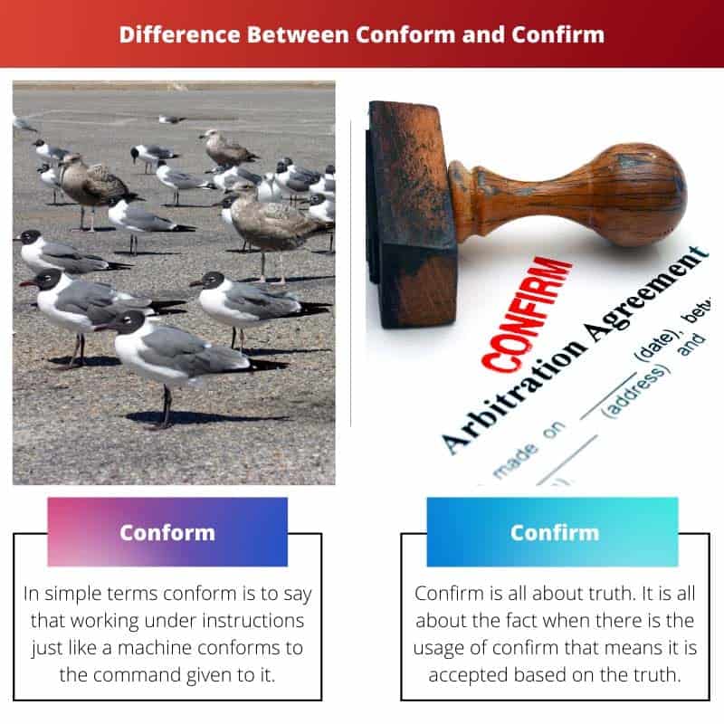 Conform vs Confirm Difference and Comparison