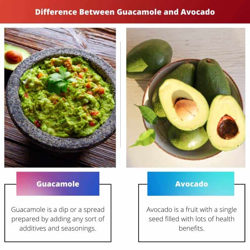 Guacamole vs Avocado Difference and Comparison