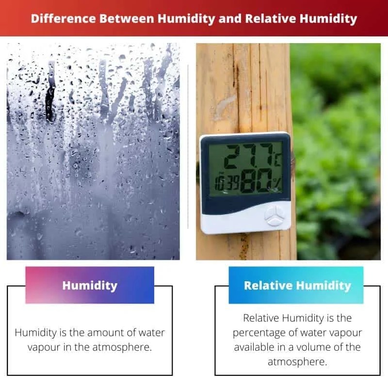 Humidity vs Relative Humidity Difference and Comparison