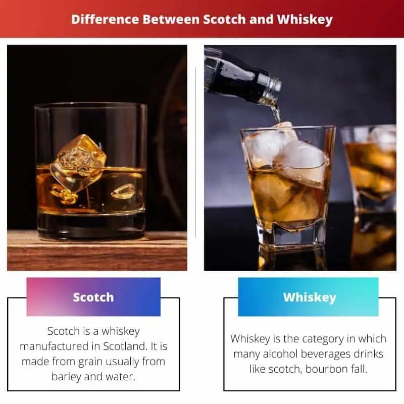 Scotch vs Whiskey Difference and Comparison