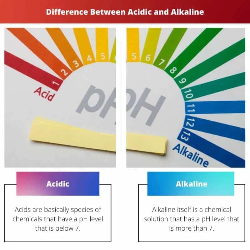 Acidic vs Alkaline Difference and Comparison