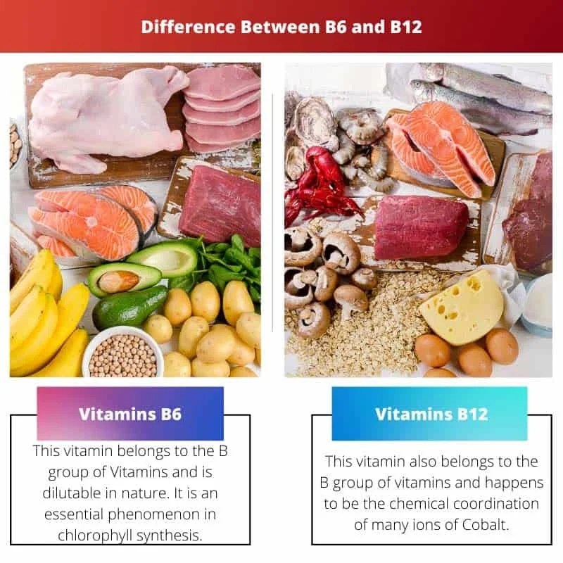 B6 vs B12 Difference and Comparison