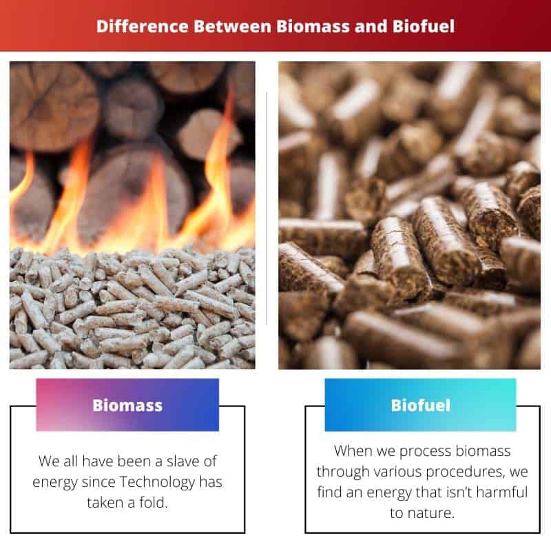 Biomass vs Biofuel Difference and Comparison